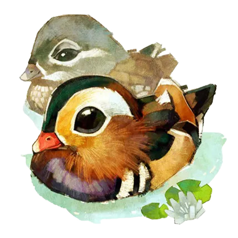 Mandarin Duck Wooden Jigsaw Puzzle - aimpuzzle