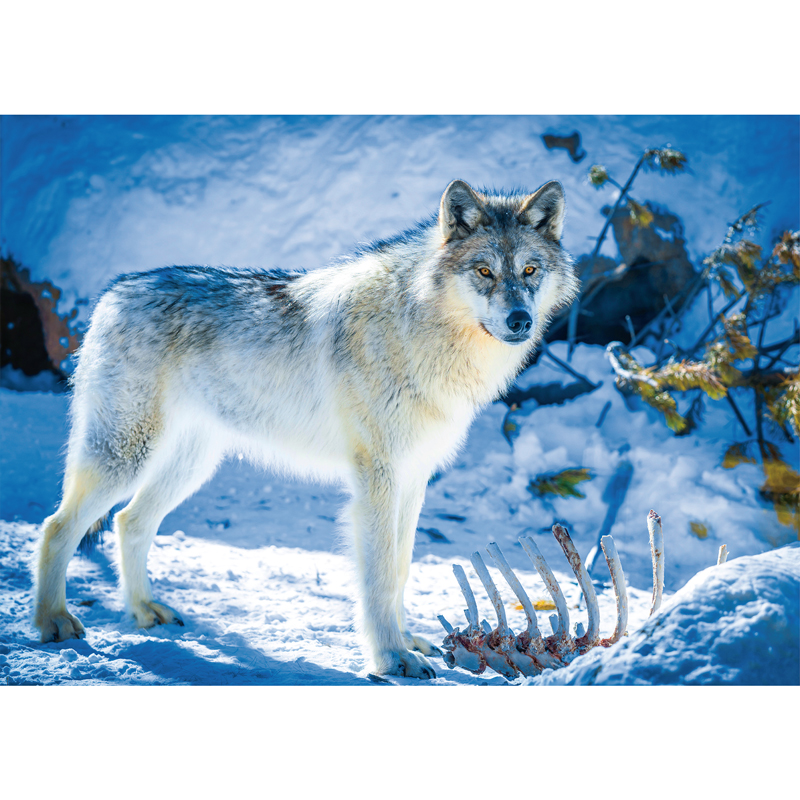 Snow Wolf Wooden Jigsaw Puzzle - aimpuzzle