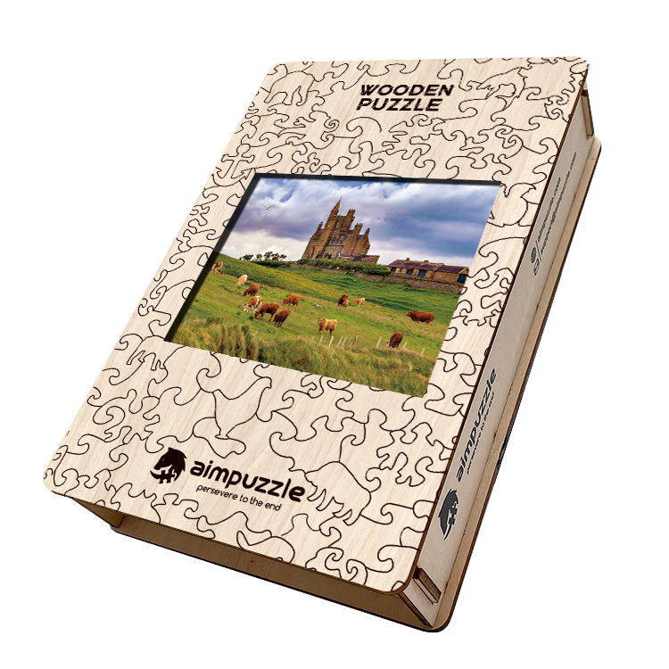 Stories Wooden Jigsaw Puzzle - aimpuzzle