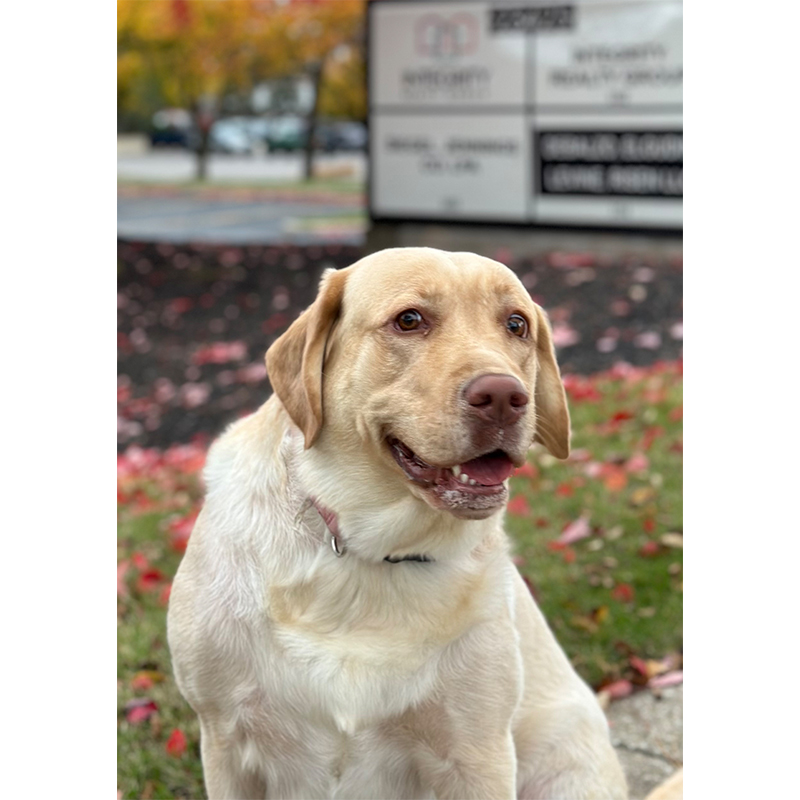 Personalized Memorable Picture Wooden Jigsaw Puzzles - aimpuzzle