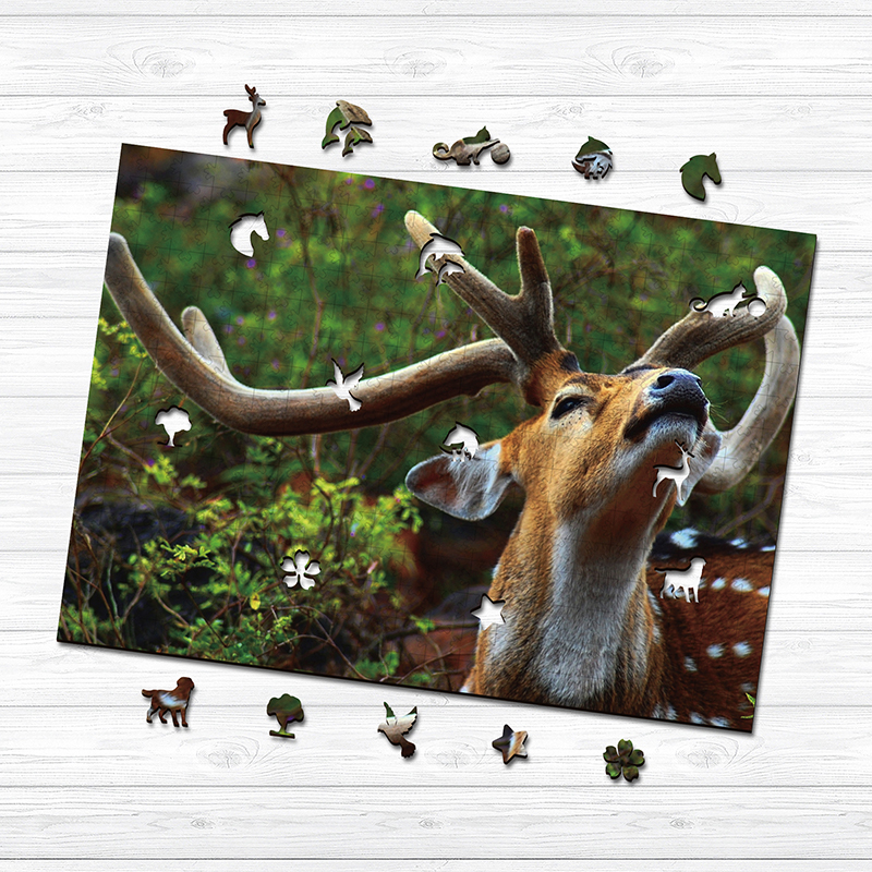 Sika deer Wooden Jigsaw Puzzle - aimpuzzle