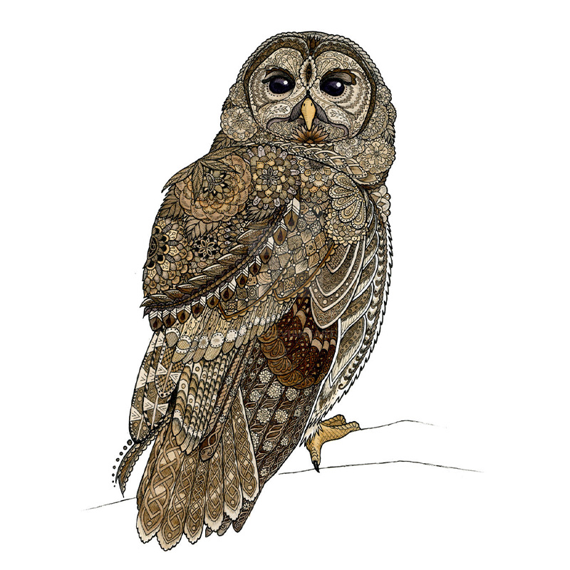 Barred Owl Wooden Jigsaw Puzzle - aimpuzzle